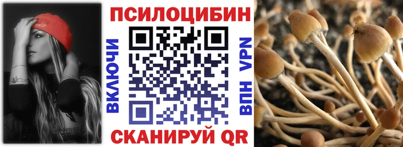 Галлюциногенные грибы Magic Shrooms  купить наркоту  Петрозаводск 