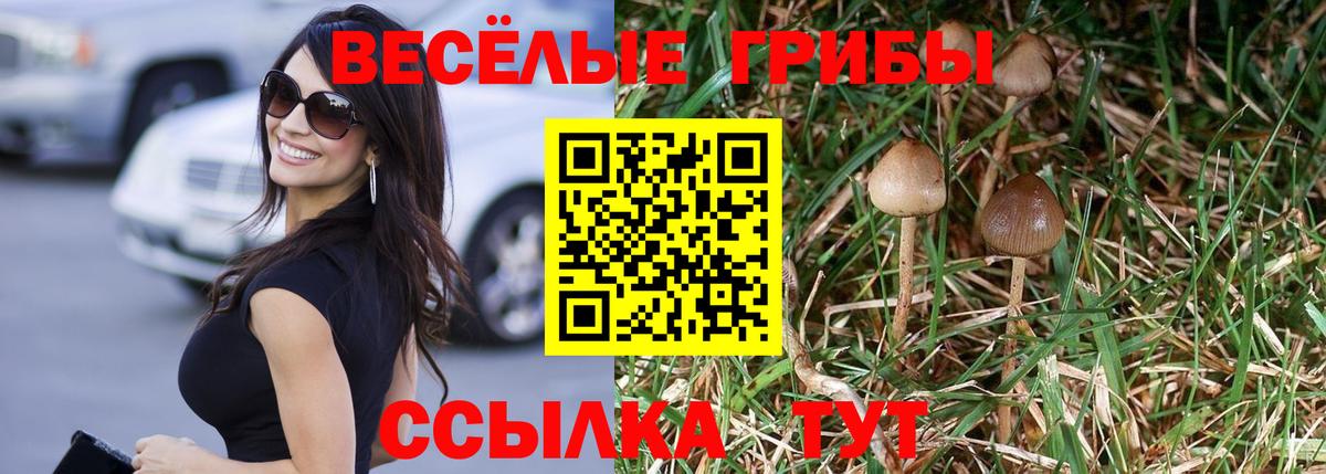 Галлюциногенные грибы прущие грибы Петрозаводск