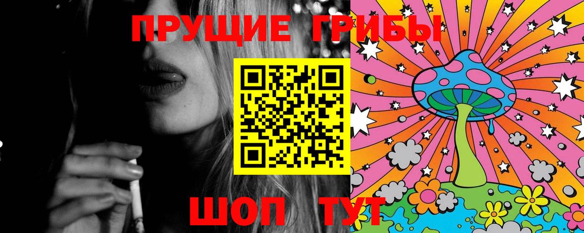 наркота  Вход с VPN  Петрозаводск  Галлюциногенные грибы Cubensis  Галлюциногенные грибы Psilocybine cubensis 