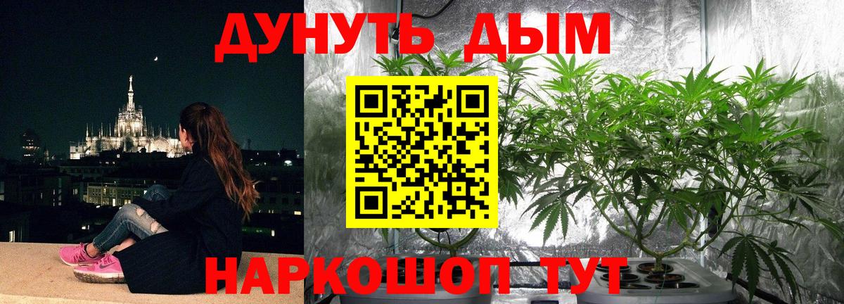 Конопля Bruce Banner Петрозаводск